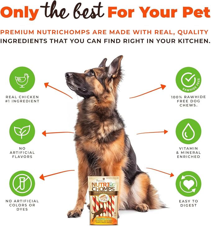 NutriChomps Dog Chews – 5-inch Twists, Easy to Digest, Rawhide-Free Dog Treats, Healthy, 10 Count, Real Chicken Flavor, Bundle of 2 (NT062V-2)