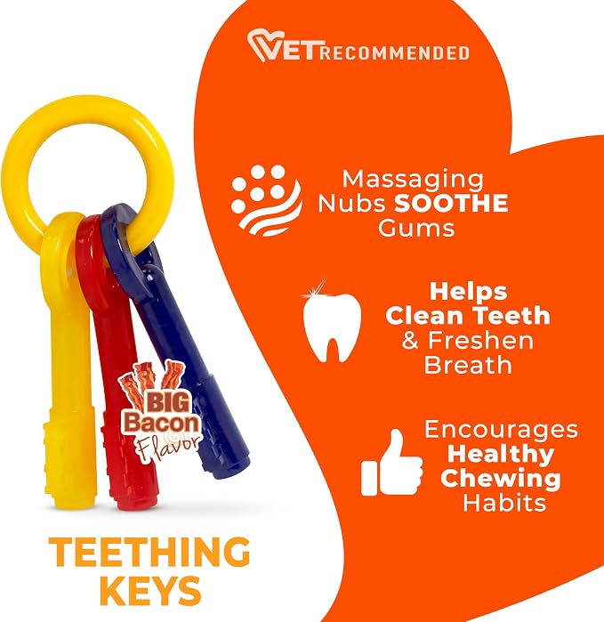 Nylabone Puppy Chew Key Ring Toy, Toys for Teething Puppies, Multi Color, Bacon Flavor, Medium - Up to 35 lbs, 1 Count