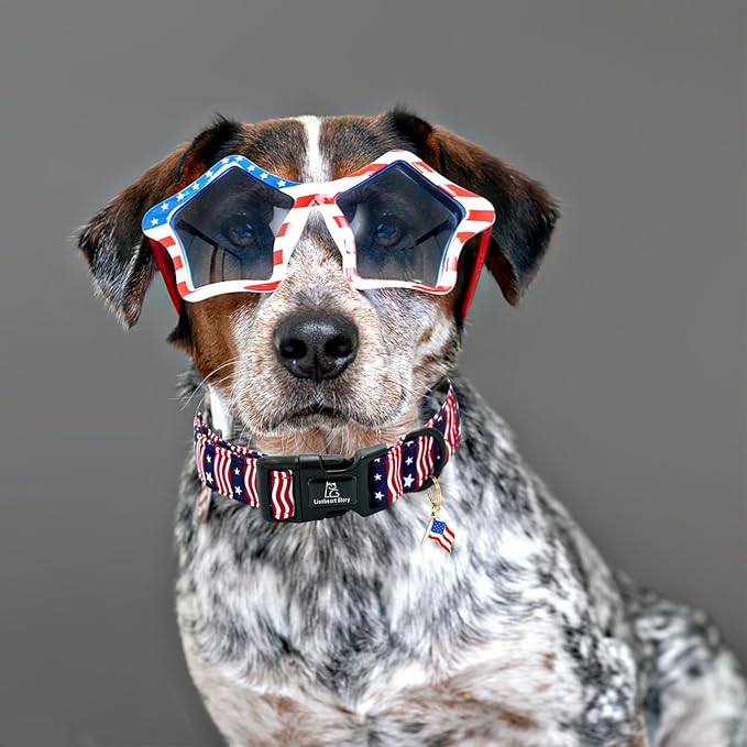 Lionheart glory American Flag Dog Collar, 4 of July Patriotic Independence Day Dog Collar Heavy Duty Adjustable Dog Collars for Large Dogs Pet Gift Summer Collars