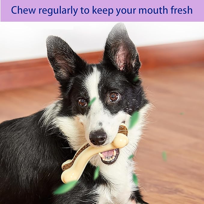 Bone Chew Toys for Aggressive Chewers, 3 Pack Real Beef Flavor, Indestructible Dog Teething Toys for Medium/Large/Small Breed, Durable Nylon Tough Dog Toy