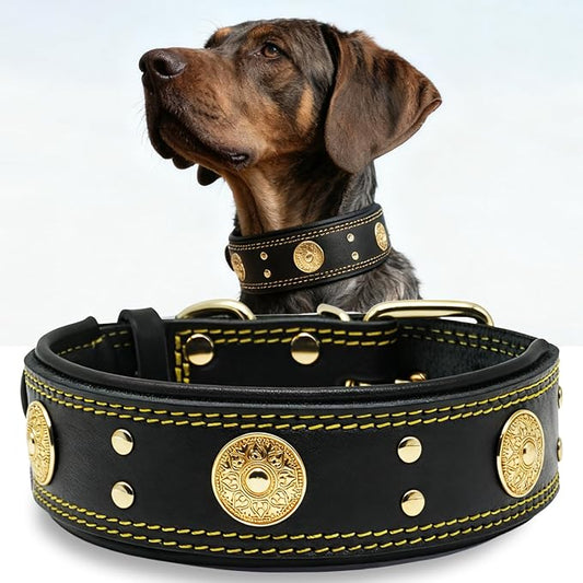 Genuine Leather Dog Collar for Large Dogs,2 in Wide Heavy Duty,BK-GD-L | Handmade,Stainless Steel Pin Buckle,Soft Padded,Alloy Studded,Luxury Eye-catching Design,Medium Large Giant Breeds,21-25 in