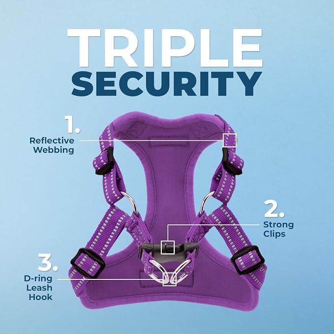 Best Pet Supplies Voyager Adjustable Step-in Flex Breathable Mesh Dog Harness for Small Medium Large Dogs Leash Set (Purple), L