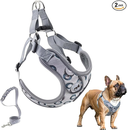 Dog Frenchie Harness with Leash Set, No Pull Adjustable Step in Vest Harness for Medium Dogs Walking and Running (M, Gray with Circle)