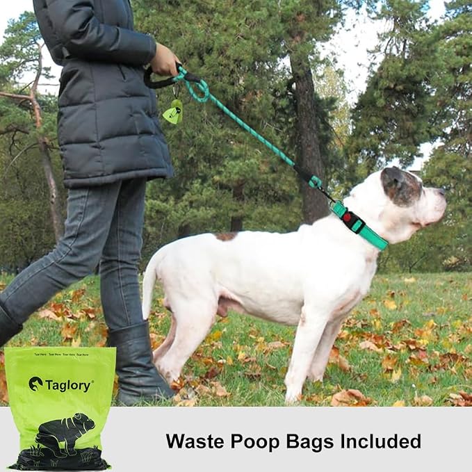 Taglory Rope Dog Leash 5 FT with Comfortable Padded Handle, Highly Reflective Threads Leash and Anti-Tangle Clip for Walking Medium Large Dogs, 1/2 inch, Turquoise