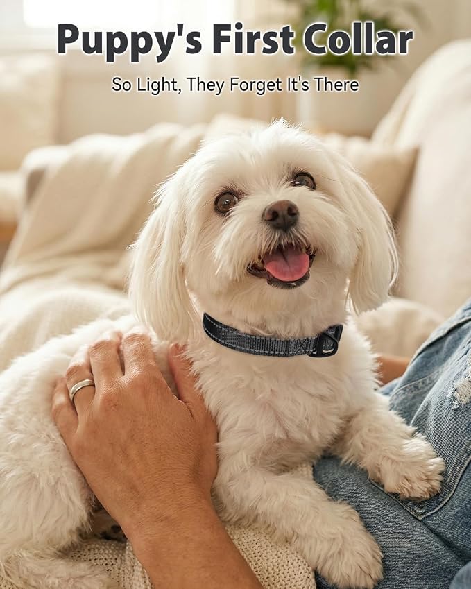 Joytale Dog Collars for Small Dogs, Feather-Light Double-Sided Reflective Nylon Collar for Night Safety, Adjustable Quick-Release for Growing Puppies, Black, S (5/8" Width)