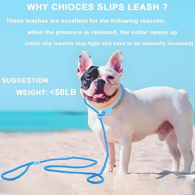 Slip Lead No Pull Dog Leash Slip Leads for Dogs Puppy Leash 5FT Slip Leash for Dogs Dog Lead with 6 Colors Strong Nylon Dog Training Leash Dog Leash (Blue)