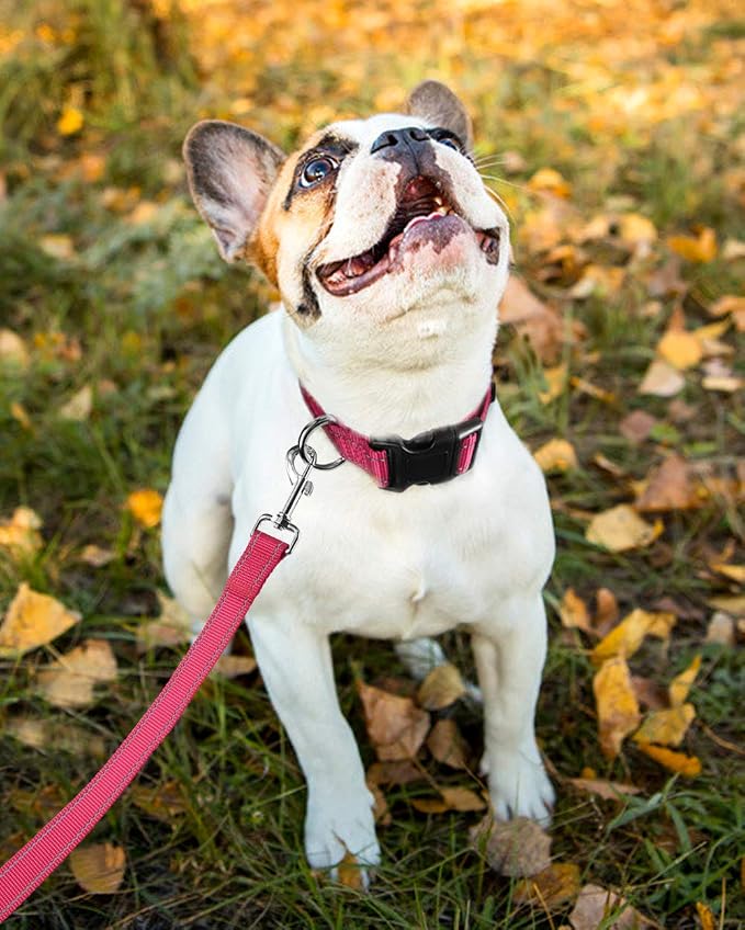 FunTags Length 10" - 16" Reflective Neon Pink Dog Collar for Small Dogs – Night Walking & Training Safety, Durable Quick Release Buckle, Nylon, Comfortable Adjustable, Width 3/4"