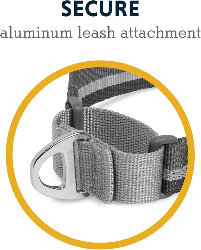 Ruffwear, Web Reaction Dog Collar, Escape-Proof Security Buckle, Adjustable Anti-Slip Martingale Collar with Durable Nylon Tubelok Webbing & Silent ID Attachment, Granite Gray, 23"-26"
