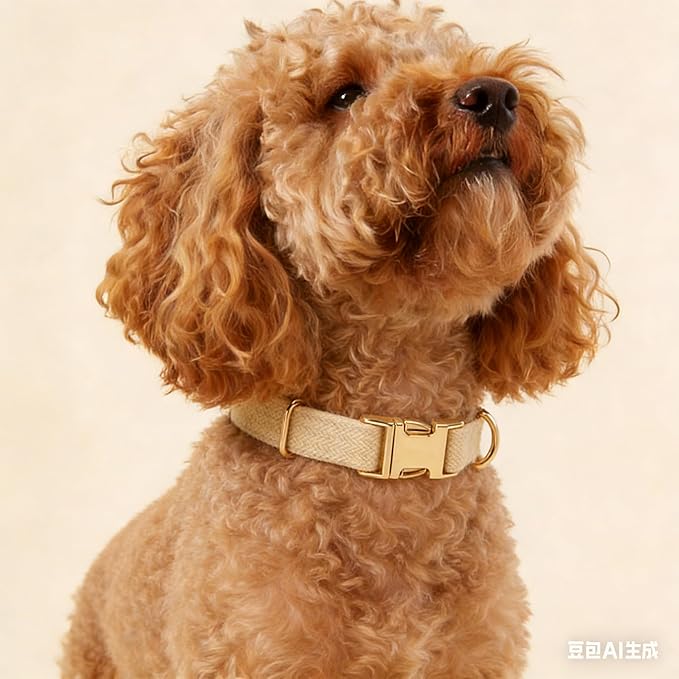 Soft Dog Collar and Leash Set Adjustable Woven Tweed Dog Collars with Metal Buckle and Lead for Small Medium Large Dogs,Beige