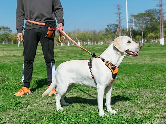 TRUE LOVE Adjustable No-Pull Dog Harness Reflective Pup Vest Harnesses Comfortable Control Brilliant Colors TLH5651(Orange,S)