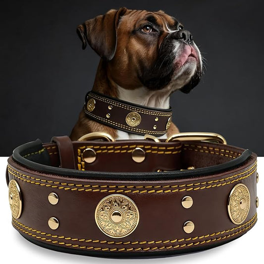 Leather Dog Collar for Large Dogs, 2 in Wide Heavy Duty, Handmade, BN-GD-M | Genuine Leather Stainless Steel Pin Buckle, Microfiber Leather Padded, Alloy Studded， Soft, Luxury and Eye-catching