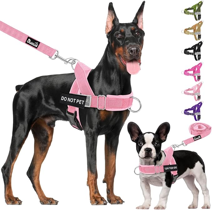 Lukovee No Pull Dog Harness and Leash Set - Adjustable Soft Padded Vest with Front Clip for Easy Control, Reflective Durable Harness for Safe Daily Training Walking for Medium Large Dogs (L, PI)