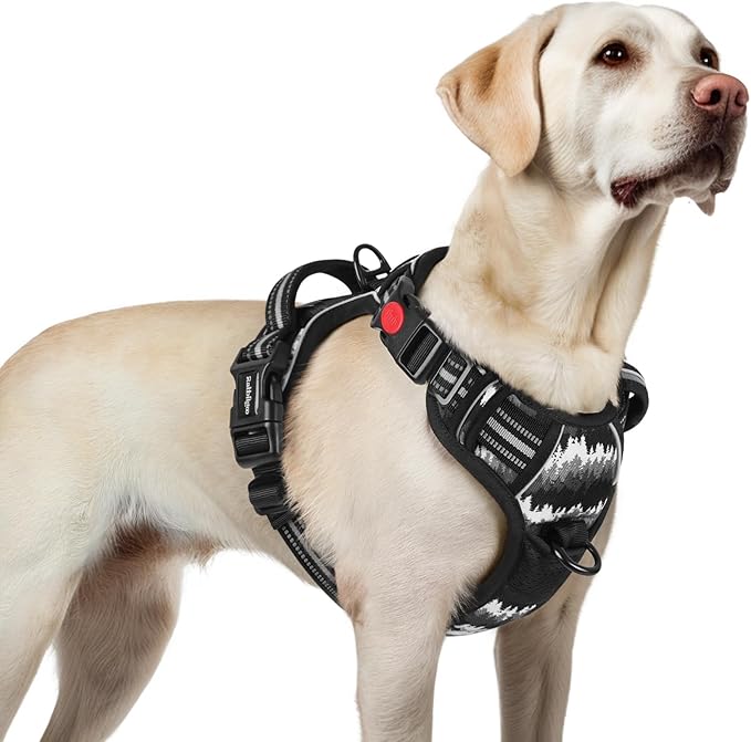 rabbitgoo Dog Harness for Large, No Pull Easy On & Off with 3 Buckles Pet Harness, Adjustable Soft Walking Vest with 2 Clips and Handle, Reflective for Large Dogs, Mountain Black, L