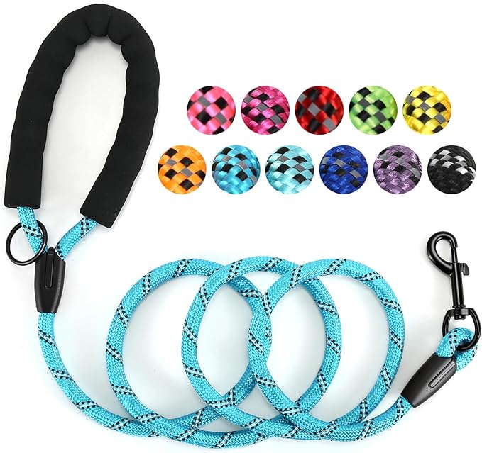 Heavy Duty Dog Leash - 4.9 FT for Large and Small Dogs - Strong Nylon, Comfortable Handle, Reflective Stitching - Ideal for Walking, Training, and Outdoor Activities, Sky Blue