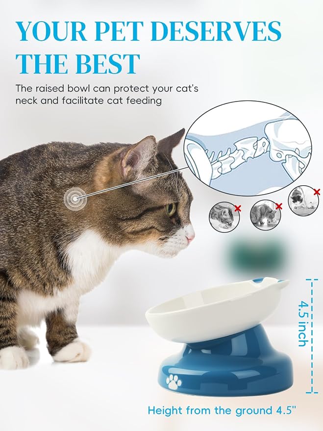 Y YHY Ceramic Slow Feeder Cat Bowl, Elevated Cat Bowl Tilted Design Slow Feeder for Dog and Cat for Dry and Wet Food, Blue