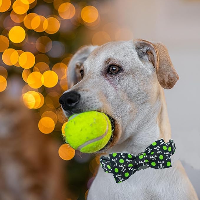 Elegant little tail Dog Collar, Balls Print Dog Collar with Bow Tie Summer Pet Collar Boy Girl Cute Bowtie Collars for Small Medium Large Dogs