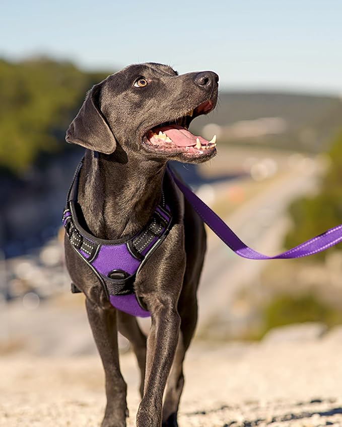 Joytale No Pull Dog Harness for Extra Large Dogs, Reflective Pet Vest with Front Clip, Adjustable Soft Padded Harnesses with Easy Control Handle for Training and Walking, Purple, XL