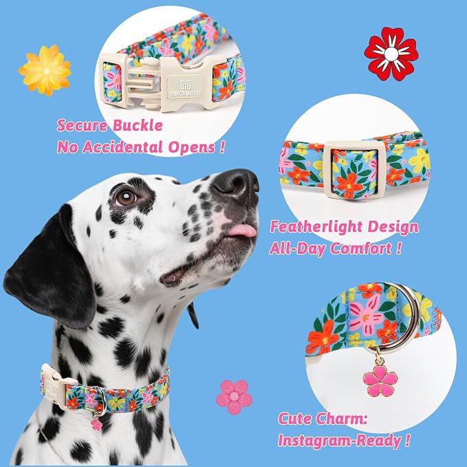 Maca Bates Flower Basic Dog Collar with Blossom Charm for Medium Girl Boy Dogs, Hand-Painted Floral Pattern,Pretty Adjustable Durable Soft Flowers Collars Spring Summer Gift for Male Female Puppy
