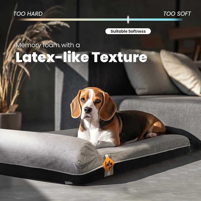 Laifug Orthopedic Dog Beds for Large Dogs,3" Memory Foam Dog Beds,Durable Water Proof Liner Removable and Washable, Nonskid Bottom,Grey Slate Grey 40"x25"x3"