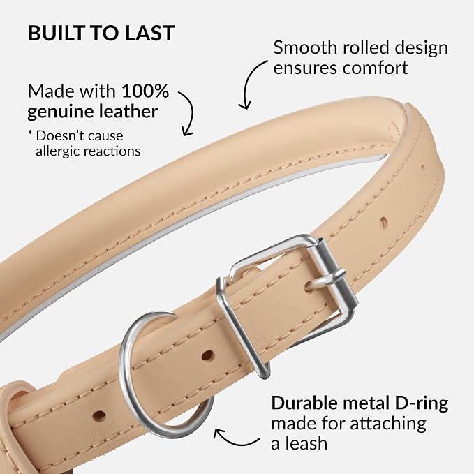 CollarDirect Rolled Leather Dog Collar, Soft Padded Round Puppy Collar, Handmade Genuine Leather Collar Dog Small Large Cat Collars 13 Colors (8-11 Inch, Beige Smooth)