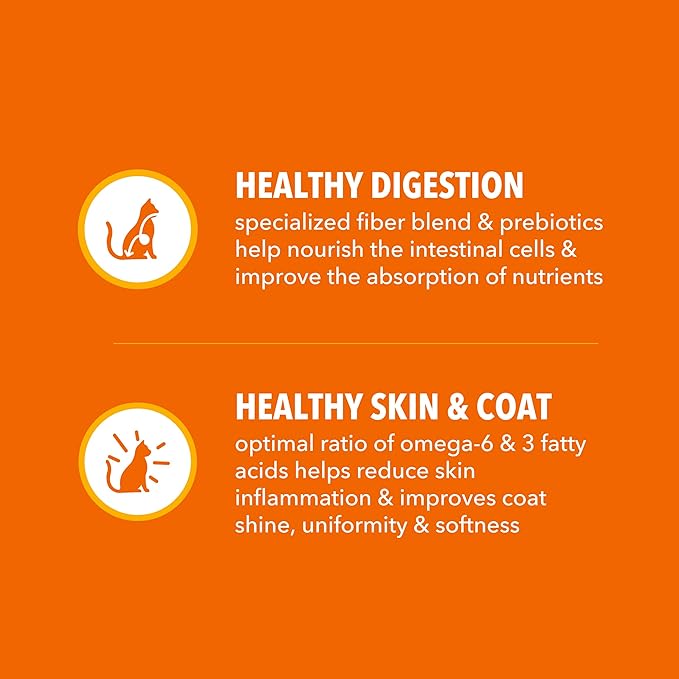 IAMS Proactive Health Dry Cat Food, Healthy Cat Food Dry Recipe for Adults, Salmon, 16 lb. Bag