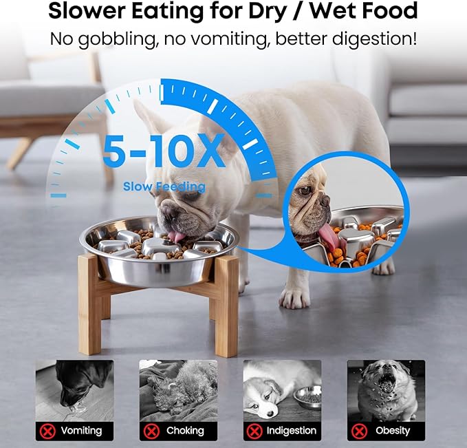 Elevated Slow Feeder Dog Bowl for Small Medium Breed Puppies, 2 Cup 304 Stainless Steel Maze Food Dish for Fast Eaters, Non Slip Raised Doggy Metal Plate with 5.5 Inch Stand, Non Gobbling, Neck Relief