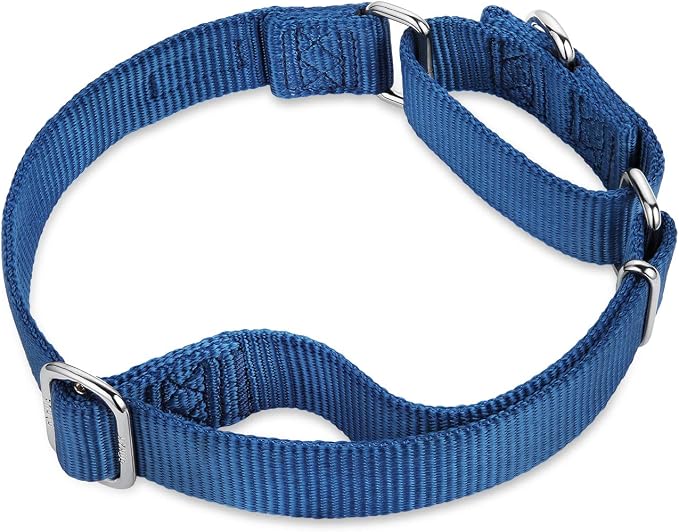 Hyhug Martingale Dog Collar Medium Blue |Escape - Proof Heavy Duty Nylon Durable No Slip, Ideal for Training & Daily Walks