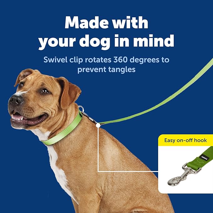 PetSafe Nylon Dog Leash - Strong, Durable, Traditional Style Leash with Easy to Use Bolt Snap - 1 in. x 6 ft., Apple Green
