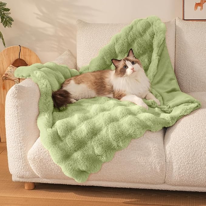 SOMAHE Cat Blanket, Reversible Sherpa & Bubble Fleece Pet Throw, Ultra-Soft Plush for Indoor Cats, Machine Washable, Anti-Static, Warm & Cozy, 22"×18" Inch Green