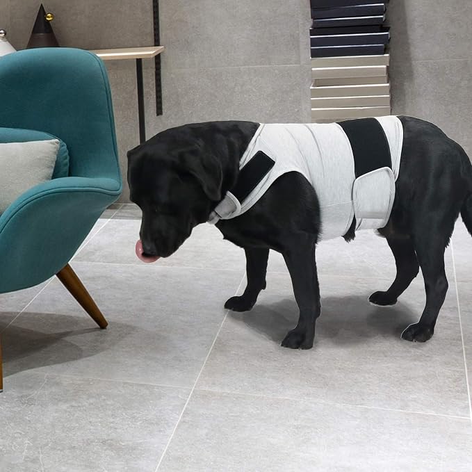 Comfort Dog Anxiety Relief Coat, Dog Anxiety Calming Vest Wrap for Thunderstorm,Travel,4th of July Fireworks,Vet Visits,Separation Anxiety Relief for Dogs (X-Large(Pack of 1), Light Gray)