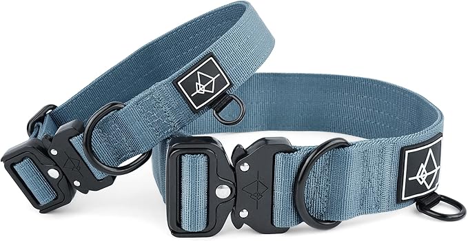 Made to ROAM Premium Dog Collar - Adjustable Heavy Duty Nylon Collar with Quick-Release Metal Buckle (California Horizon, Classic Size 4)
