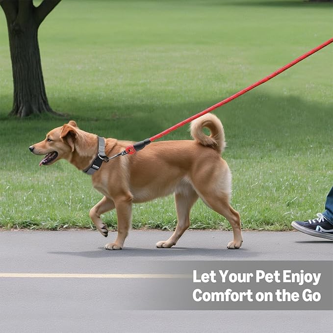 Amazon Basics Round Dog Leash, Heavy Duty, Durable Rope for Small, Medium, and Large Dogs, Lightweight Design for Walking, Training, and Outdoor Activities, Red, 6 Ft