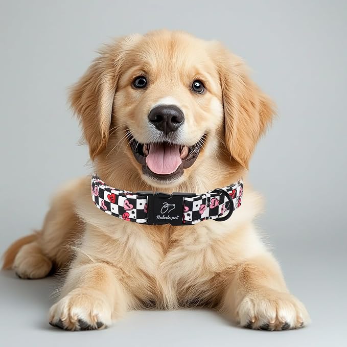 Valentines Dog Collar for Small Dogs - Unique Black White Plaid Girl Boy Valentine Heart Dog Collars, Adjustable Heavy Duty Pet Collar with Metal Buckle S