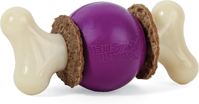 PetSafe Busy Buddy Bouncy Bone, Treat Holding Dog Toy, Large, Best for Dogs Over 75 Lb.