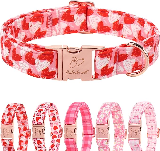 Valentines Dog Collar, Cute Pink Valentine Dog Collars, Doodle Heart Pattern, Adjustable Heavy Duty Pet Collar for Small Medium Large Dogs with Metal Buckle L