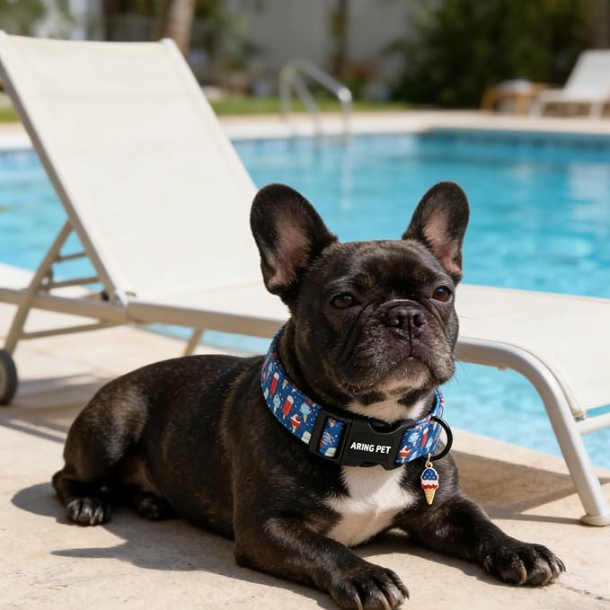 ARING PET Summer Dog Collar, Cute Blue Ice Pop Ice Cream 4th of July Pet Collars for Puppy Small Medium Large Female Girl Dogs-M