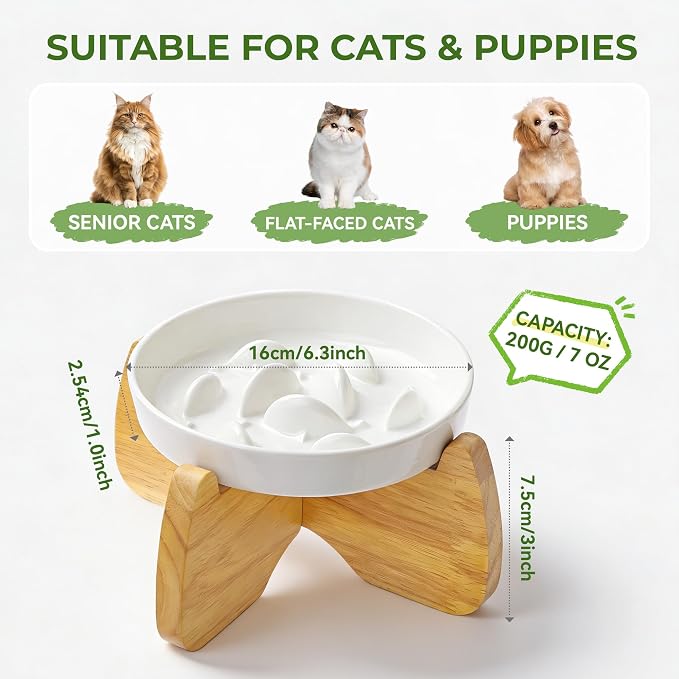 Raised Slow Feeder Cat Bowl with Stand, 6.3'' Wide Ceramic Elevated Shallow Slow Eating Cat Bowl for Dry/Wet Food, Anti-Vomiting Pet Puzzle Feeder, Whisker Friendly, Dishwasher Safe (2 Pack)
