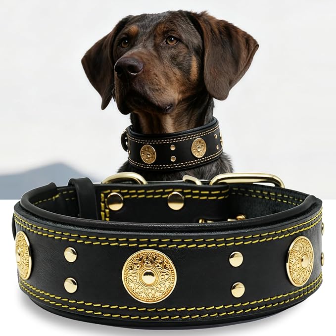 Leather Dog Collar for Large Dogs, 2 in Wide Heavy Duty, Handmade, BK-GD-M | Genuine Leather Stainless Steel Pin Buckle, Microfiber Leather Padded, Alloy Studded， Soft, Luxury and Eye-catching