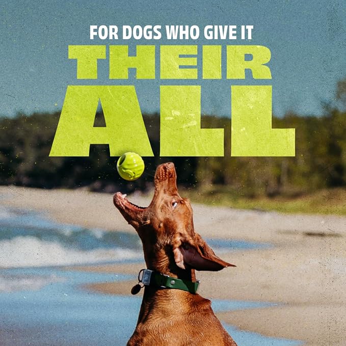 Benebone Natural Rubber Dog Ball
