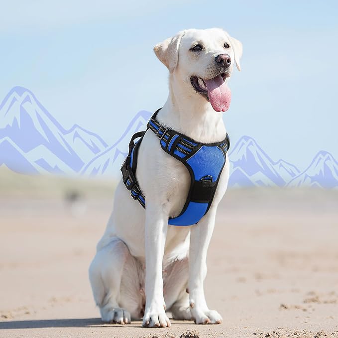 Eagloo Dog Harness for Large Dogs, No Pull Service Vest with Reflective Strips and Control Handle, Adjustable and Comfortable for Walking, No Choke Pet Harness with 2 Metal Rings, Blue, L