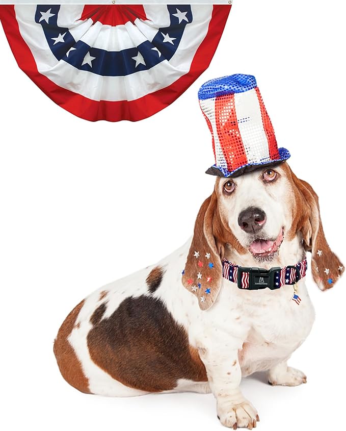 Lionheart glory American Flag Dog Collar, 4 of July Patriotic Independence Day Dog Collar Heavy Duty Adjustable Dog Collars for Small Dogs Pet Gift Summer Collars