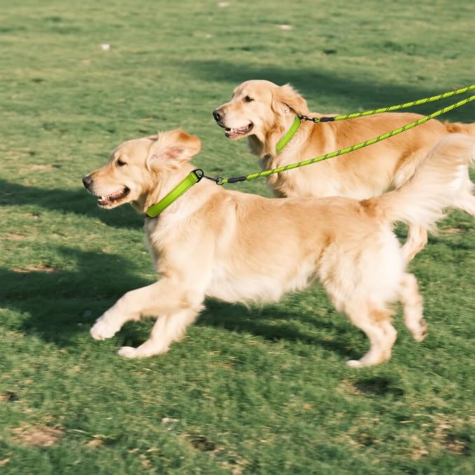 Taglory Double Dog Leash Coupler for Two Dogs, 1/3" Lightweight Dual Leash Extension for Small and Medium Dogs, No Tangle 360° Swivel, Reflective Rope, 30 Inch, Green
