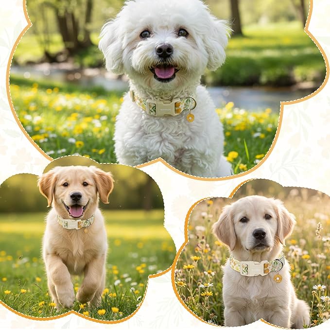Spring Summer Dog Collar with Daisy Pattern,Adjustable Cotton Puppy Collars for Small Medium Large Dogs, Cute Girl or Boy Dog Collar Ideal for Gifts,Pet Accessory,L