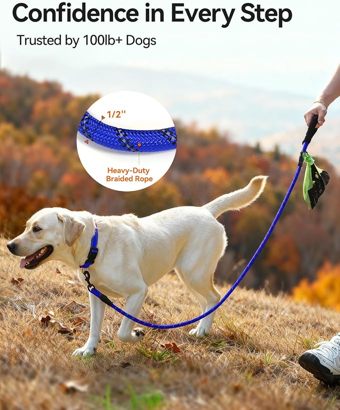 Joytale Dog Leash for Large Dogs, Heavy Duty Nylon Leashes with Comfortable Padded Handle and Highly Reflective Threads, Ideal for Walking and Training, Navyblue, 6'×1/2''
