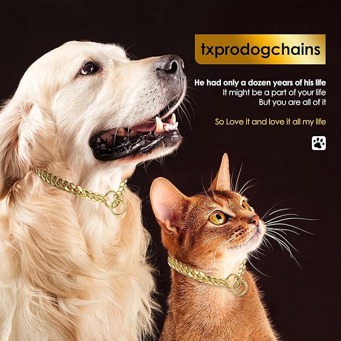 txprodogchains 18K Gold Chain Dog Collar 10MM Cuban Link Chain Stainless Steel Metal Links Walking Training Collar for Small Medium Large Dogs 10in to 24in (10" (Neck Fits 6"-8"), 18K Gold)
