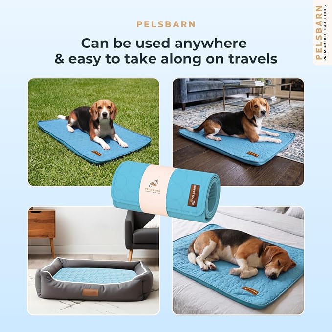 Pelsbarn Dog Cooling Mat- Ice Silk Summer Comfort, Self Cooling, Non-Slip Dog Pad, Durable & Washable, Mat for Medium Dogs 19 x 25, Support Shelter Dogs with Every Purchase (Blue)