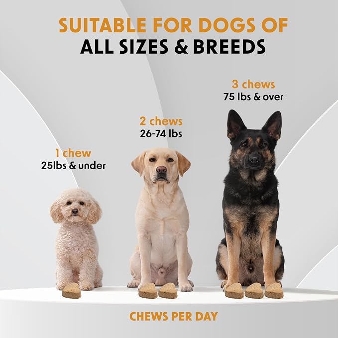 Hip & Joint Supplements for Dogs Soft Chews (90 CT) – Mobility Support + Joint Comfort & Flexibility – Glucosamine + MSM – Made in USA