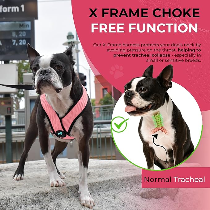 Gooby Comfort X Head in Harness - Pink, Large - No Pull Small Dog Harness Patented Choke-Free X Frame - Perfect on The Go Dog Harness for Medium Dogs No Pull or Small Dogs for Indoor and Outdoor Use