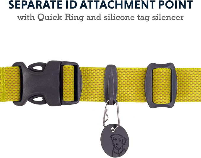 Ruffwear, Hi & Light Dog Collar, Ultralight Quick Release Buckle, Adjustable Trail Running Polyester Collar with Silent ID Attachment, Lichen Green, 11"-14"