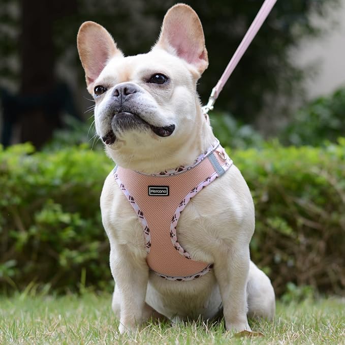 Mercano Soft Mesh Dog Harness and Leash Set, Step-in Reflective Breathable Lightweight Vest Harnesses with Safety Buckle for Small Dogs, Cats (Champagne, S)